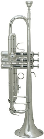 Trompeta Selmer TR-500S-DIR